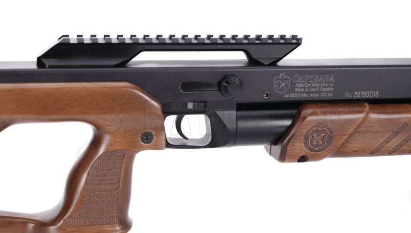 Kalibrgun Capybara 5,5mm