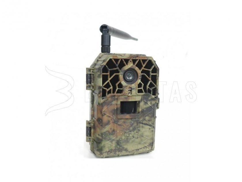 Photo trap Bunaty Wide Full HD with GSM
