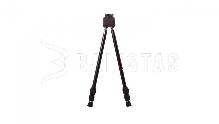 Swagger Stalker QD42