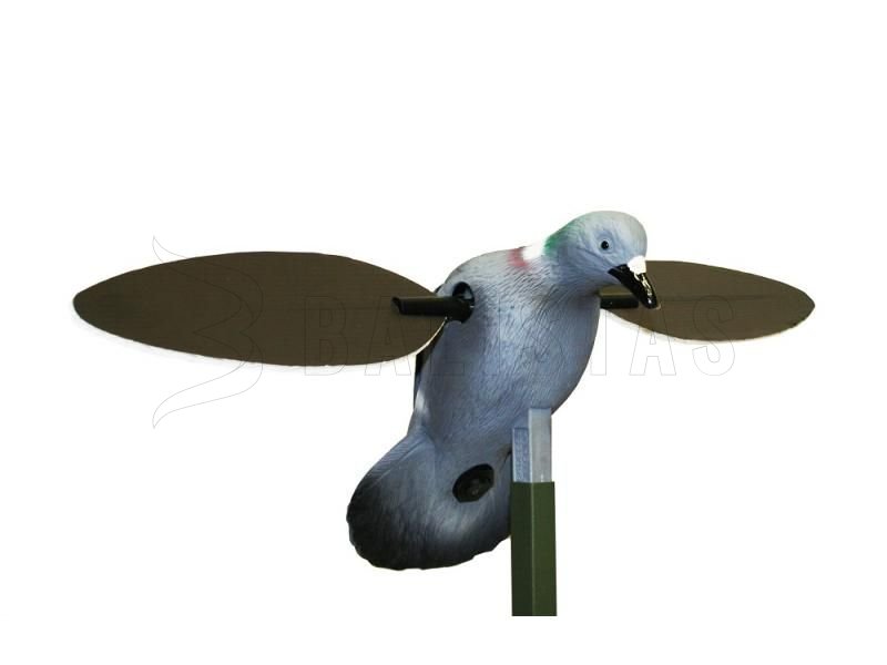 Balaban MOJO Pigeon - Pigeon