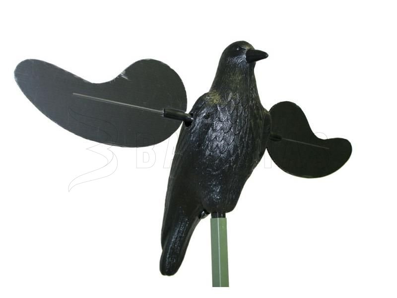 Balaban MOJO Crow - Crow