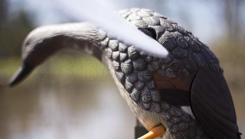 Balabán MOJO Gadwall - Duck Kopřivka