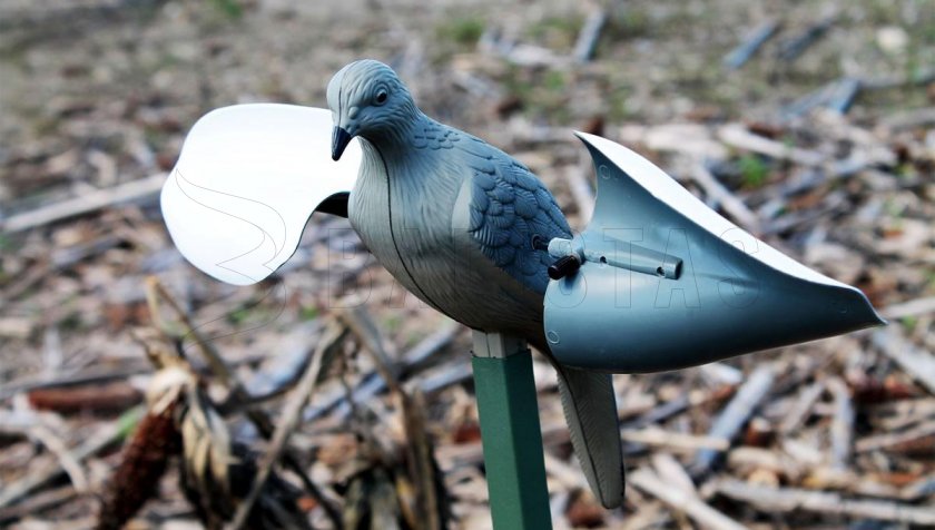 Balaban MOJO Wind Dove - Wind Dove