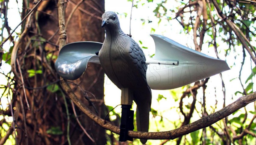 Balaban MOJO Wind Dove - Wind Dove