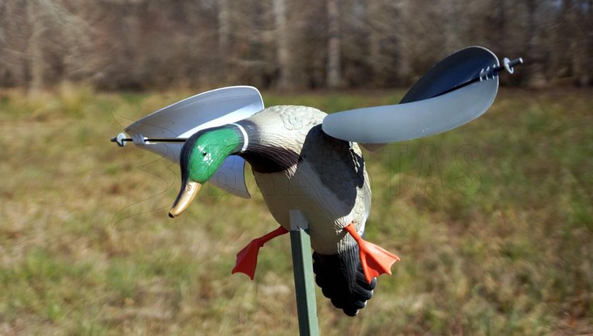 Balaban MOJO Wind Duck Mallard