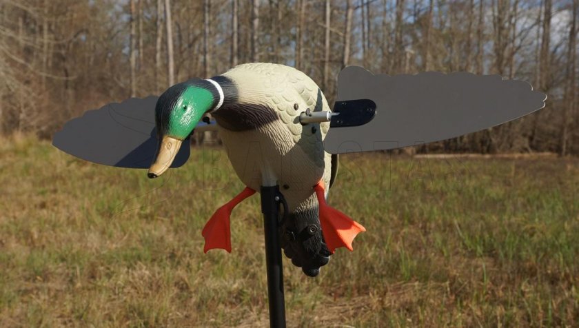 Balaban MOJO Super Mallard - Wild Duck