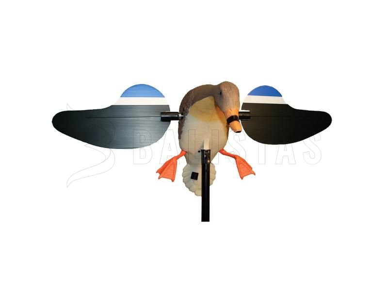 Balaban MOJO Mallard Hen - Wild Duck