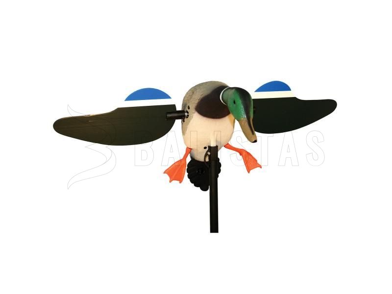 Balaban MOJO Mallard Drake - Wild Duck