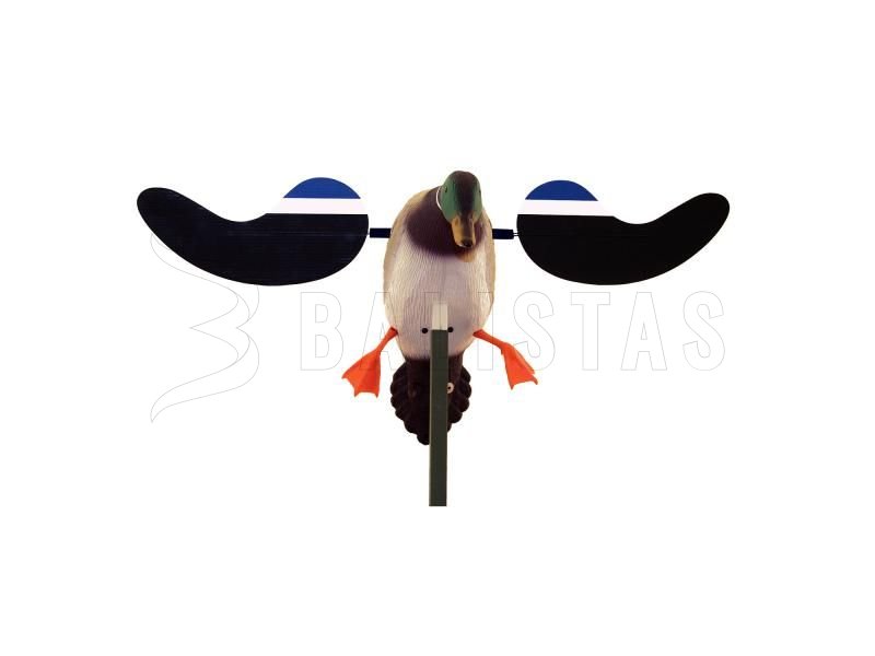 Balaban MOJO Baby Drake - Baby Duck