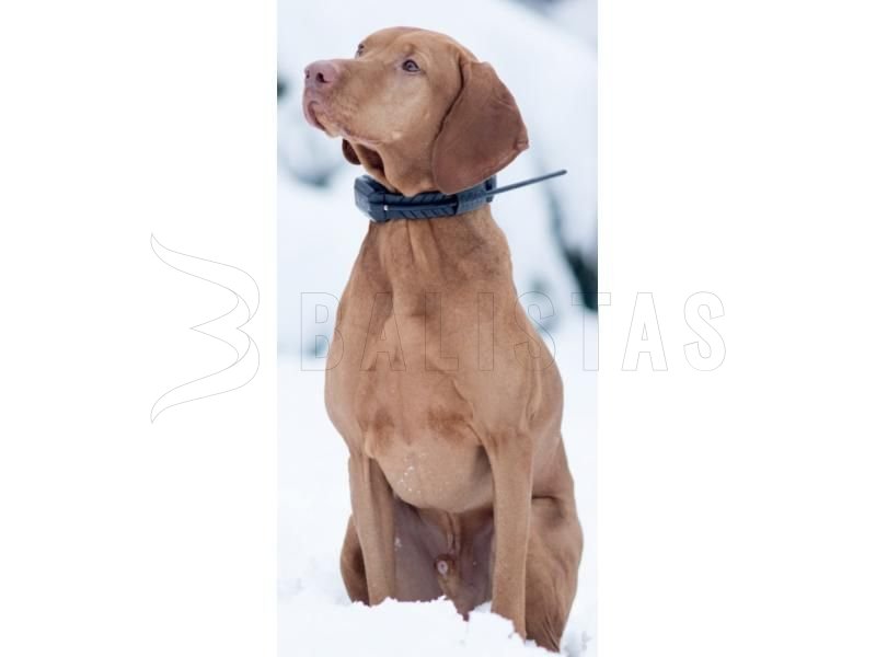 GPS locator Dogtrace DOG GPS X23 for 3 dogs