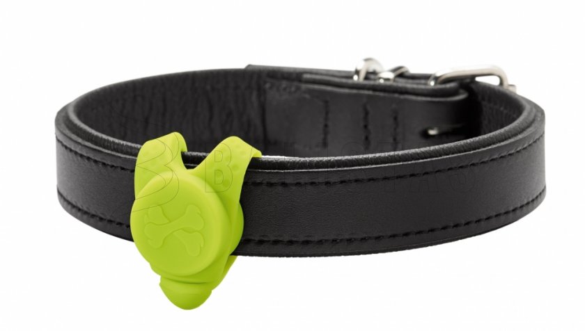 Hunter LED collar pendant