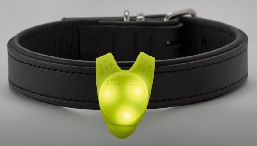 Hunter LED collar pendant