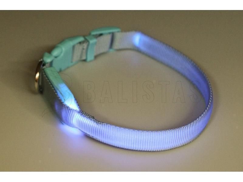 Light-up collar Dogtrace 28–38cm