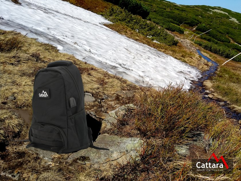 Backpack Cattara 30l BLACK WIN