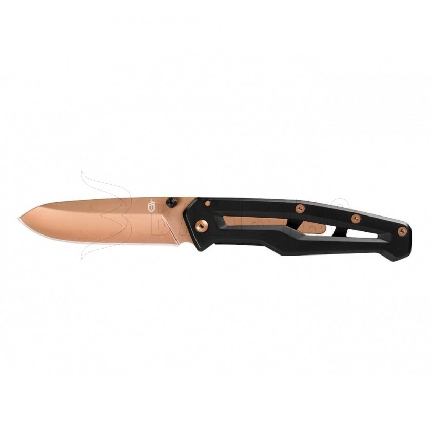 Set Gerber Dime Black + Paralite Rose