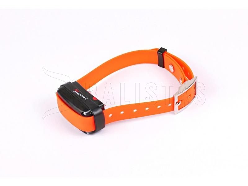 Dogtrace d-control professional 2000 One orange collar