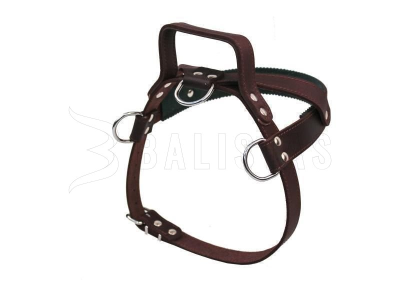 Harness with ear Dogtrace leather 1D large breeds