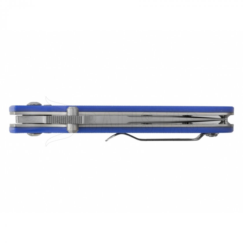 Folding knife Ganzo Firebird G704-BL blue 5