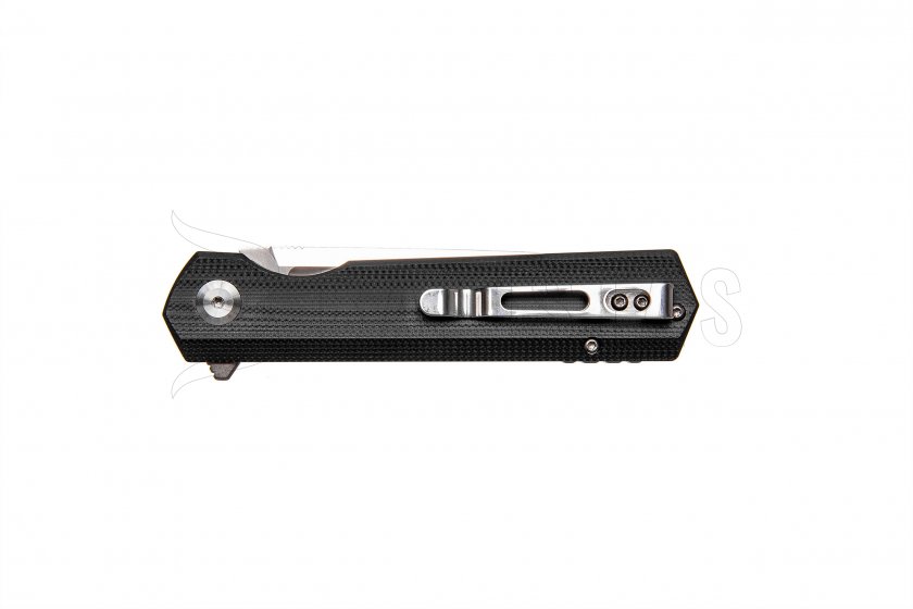 Closing knife Ganzo Firebird FH11-BK black