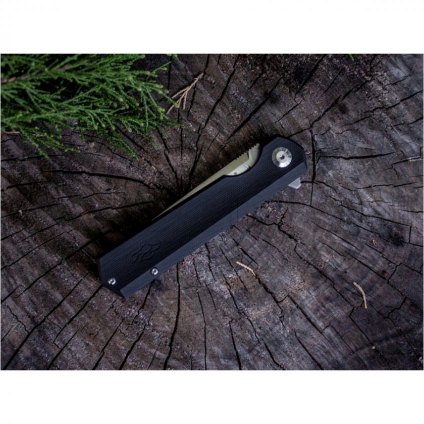 Closing knife Ganzo Firebird FH11-BK black