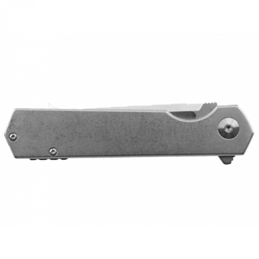 Closing knife Ganzo Firebird FH12-SS