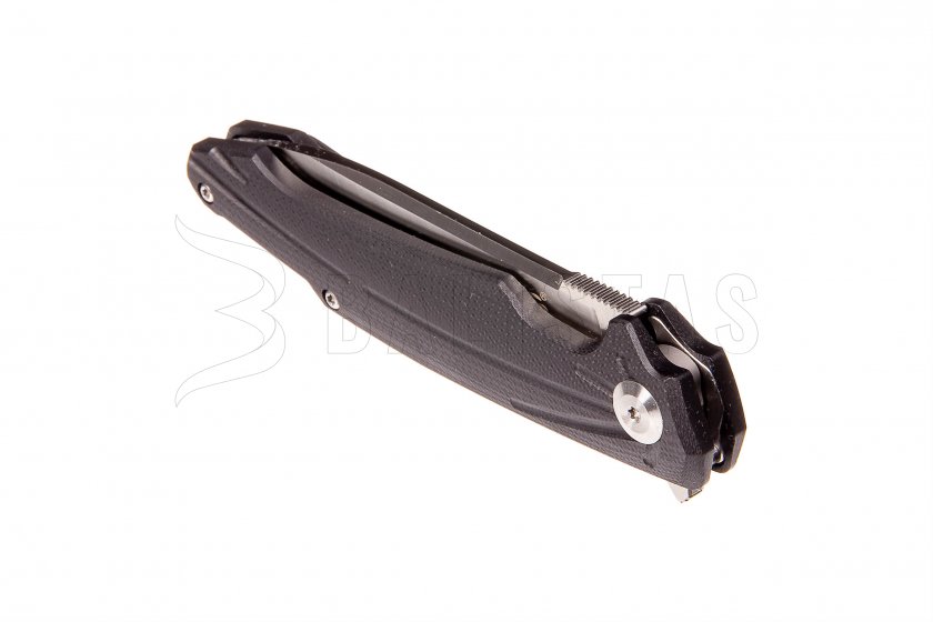 Closing knife Ganzo Firebird FH21-BK