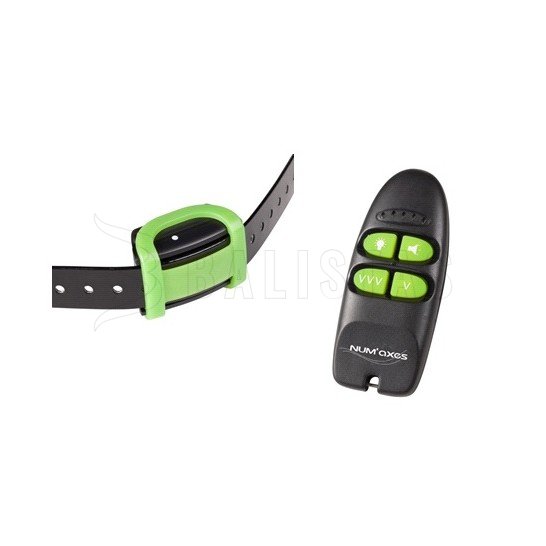 Training Collar Eyenimal Training Soft