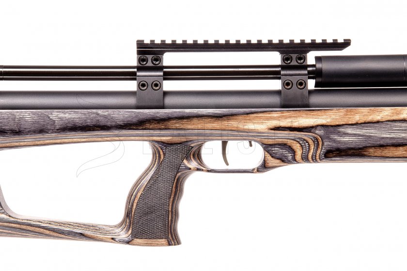 Taipan Veteran Standard 5,5mm Coffee