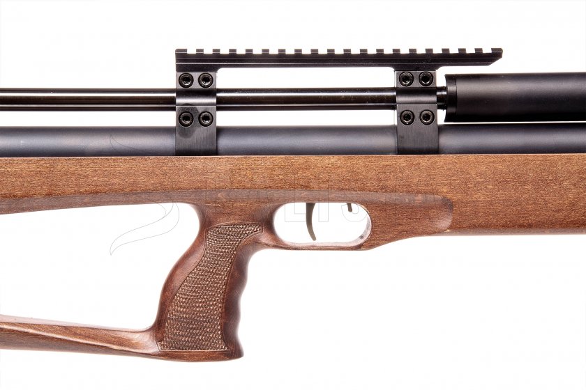 Taipan Veteran Long 5,5mm Beech