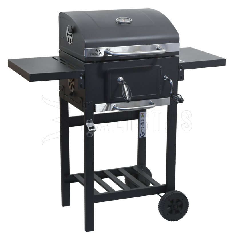 Charcoal grill ROYAL PARTNER cast iron grate
