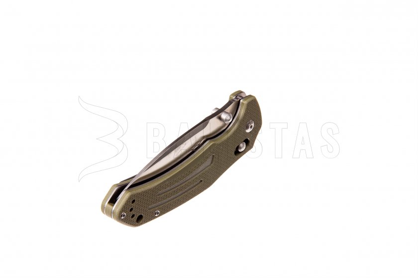 Closing knife Ganzo Firebird F7611 green