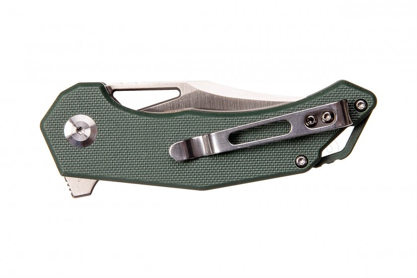 Closing knife Ganzo Firebird FH61 green
