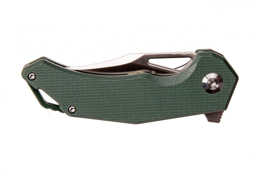 Closing knife Ganzo Firebird FH61 green