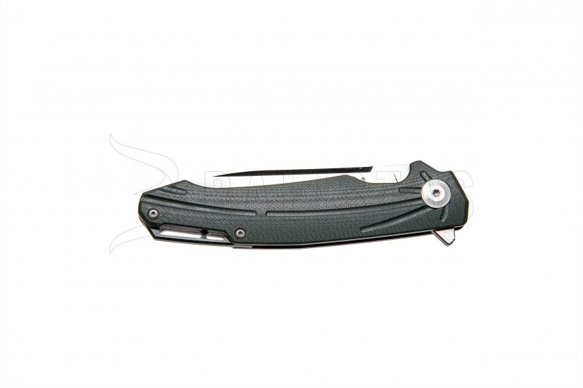 Closing knife Ganzo Firebird FH21 green