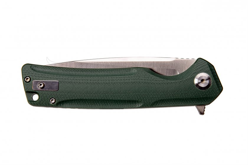 Closing knife Ganzo Firebird FH91 green