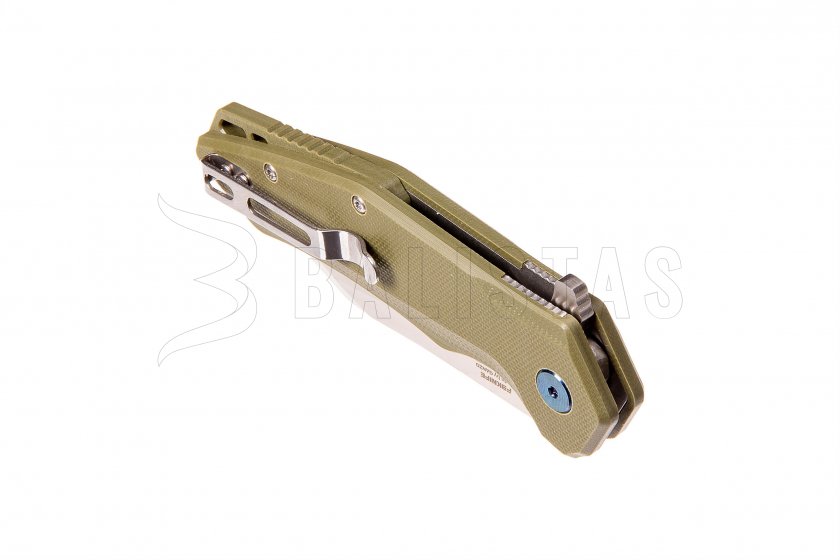 Closing knife Ganzo Firebird FH31-GB