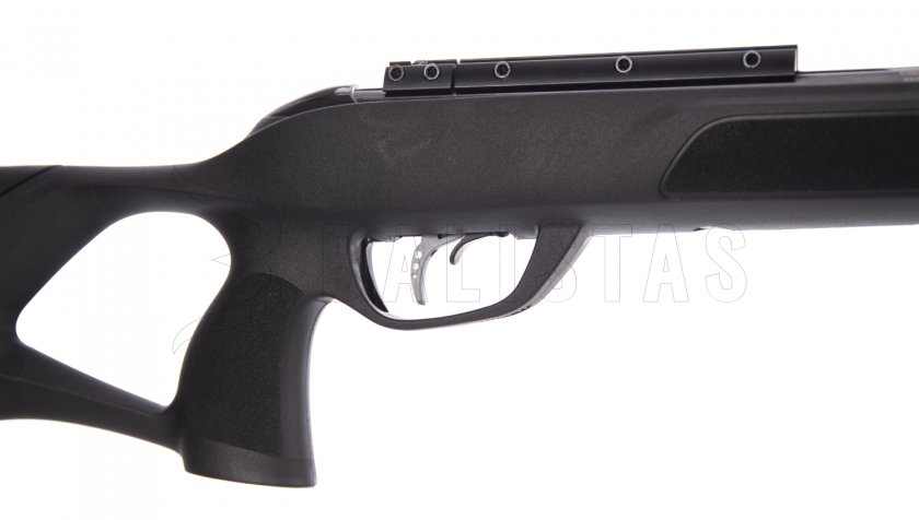 Air Rifle Gamo Roadster IGT 10X GEN2 4.5mm - 24J