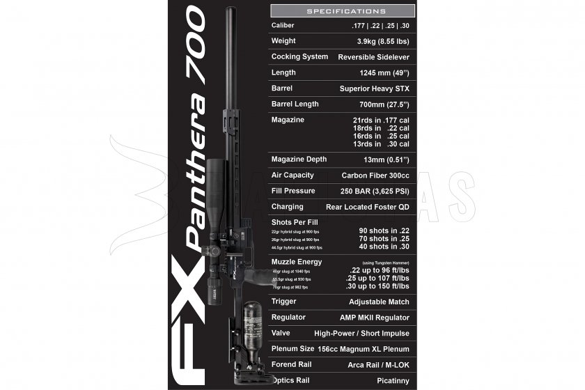 FX Panthera 700 5.jpg