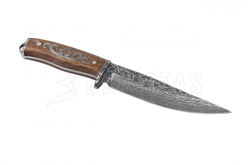 Kandar N9 2.jpg