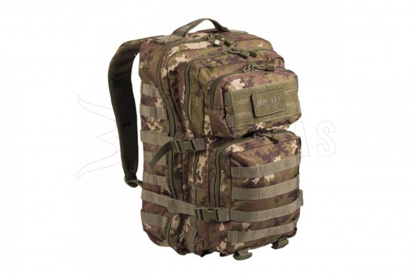 Mill-Tec US ASSAULT 36l 01.jpg