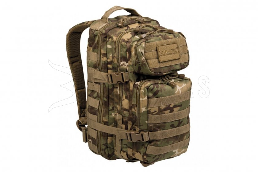 US ASSAULT wl01.jpg