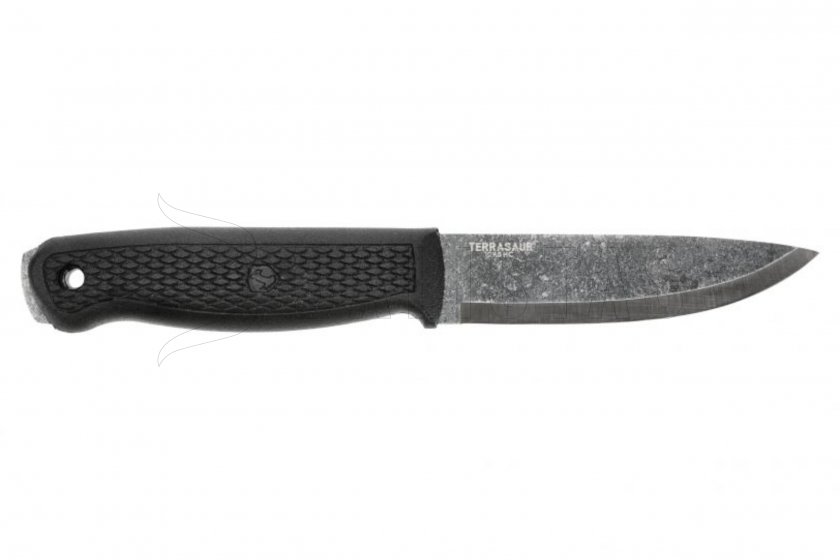 Condor Terrasaur b 02.jpg