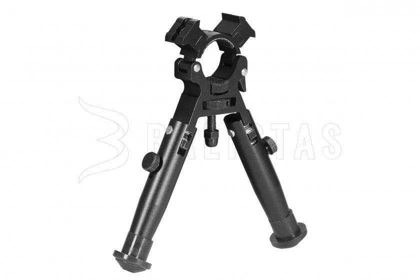 Gamo 02.jpg