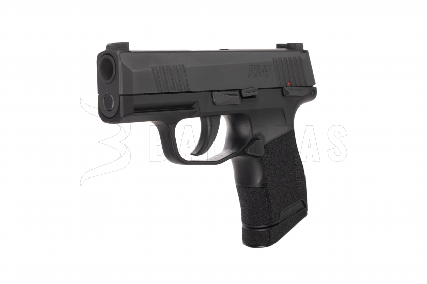SIG365 (3).png