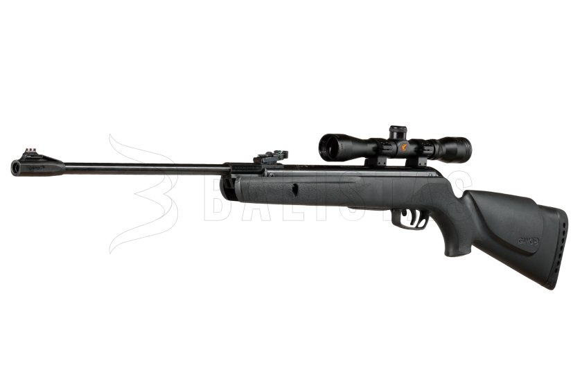 Air Rifle Gamo Big Cat 1000 4.5mm set 3