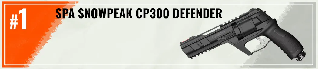 Best RAM Guns 2026 1