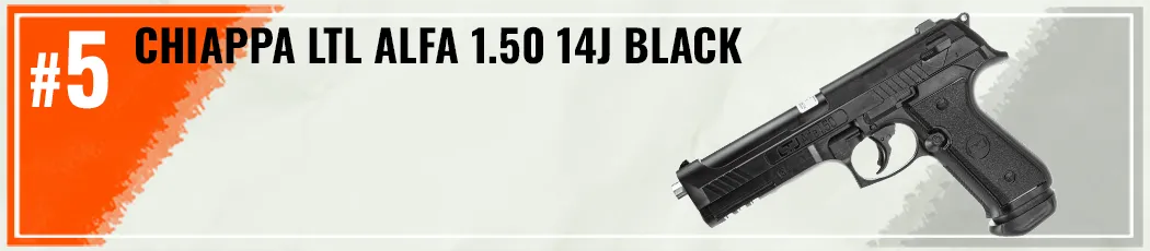 Best RAM Guns 2026 5