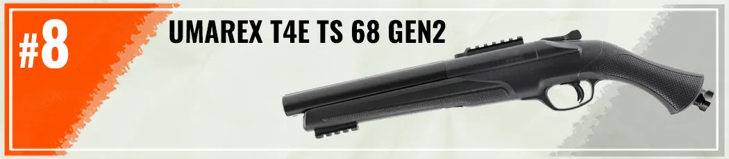 Best RAM Guns 2026 8