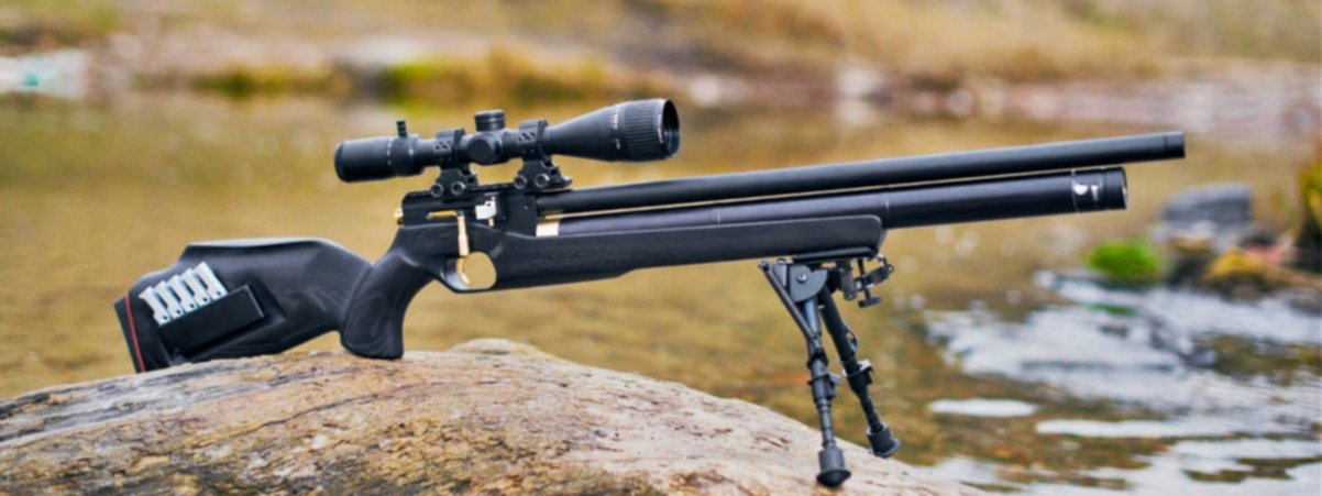 Zbroia Hortitsia air rifle text 1